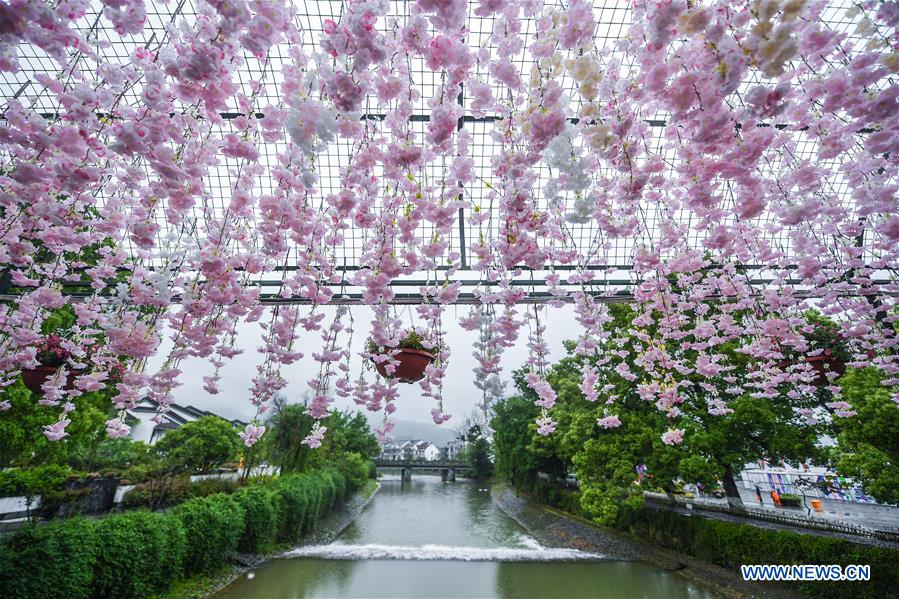 CHINA-ZHEJIANG-HANGZHOU-ANCIENT TOWN-FLOWER EXHIBITION (CN)