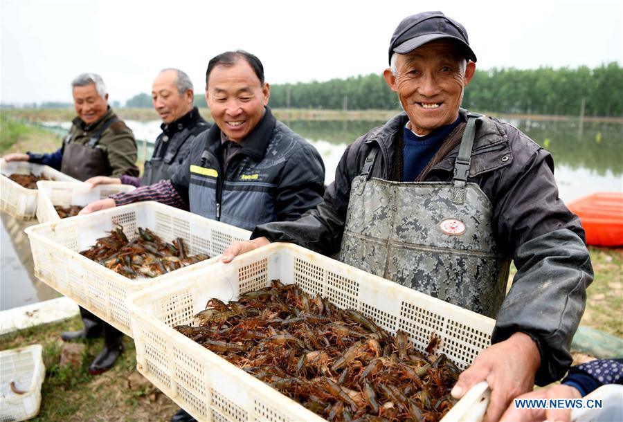 CHINA-ANHUI-WUHE-RURAL ECONOMY