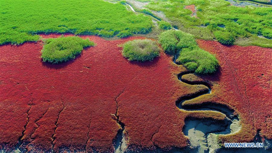 (EcoChina) CHINA-BEIJING-HORTICULTURAL EXPO-LIAONING (CN)