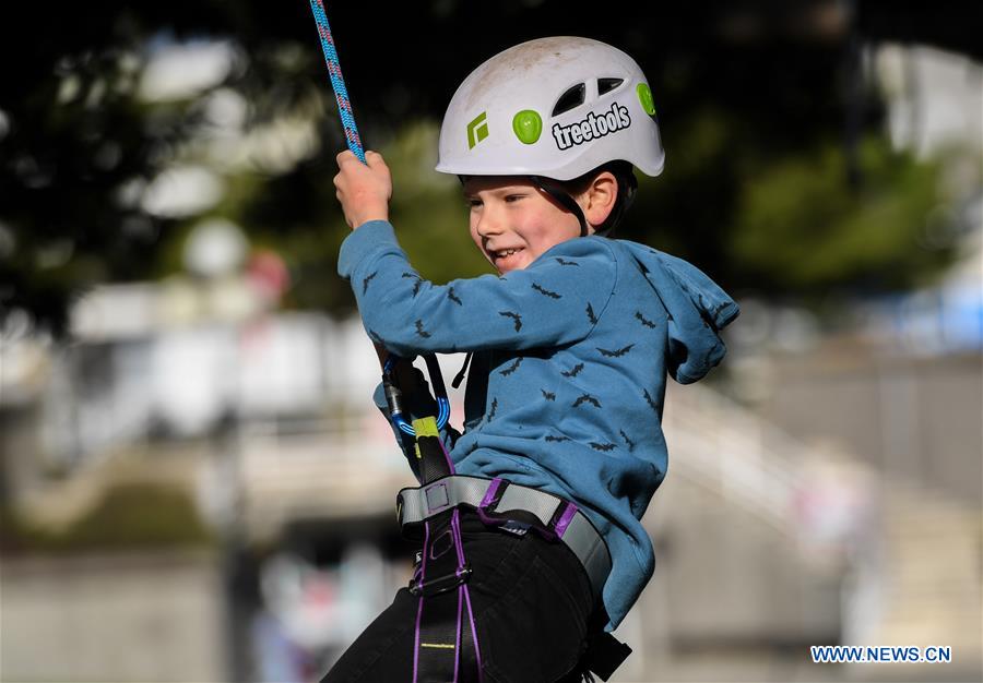 NEW ZEALAND-WELLINGTON-TREE CLIMBING COMPETITION