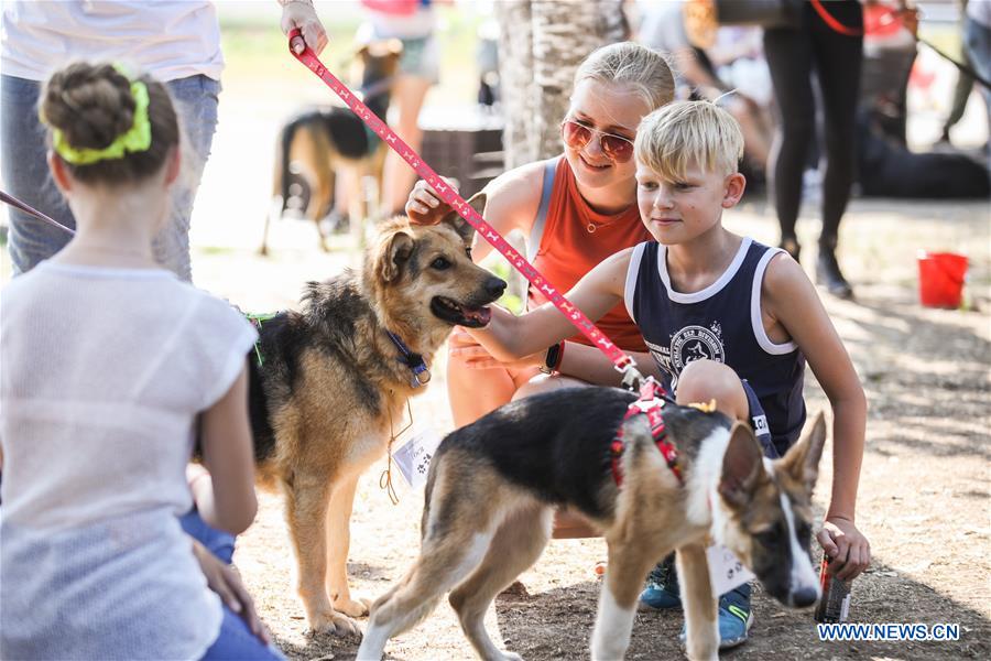 RUSSIA-MOSCOW-DAY OF FRIENDS-DOGS-CHARITY