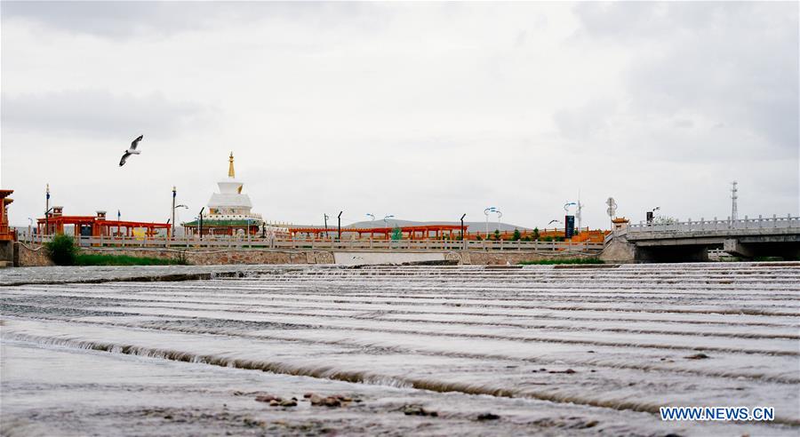 CHINA-QINGHAI-NAKED CARP-MIGRATION-SPAWNING (CN)