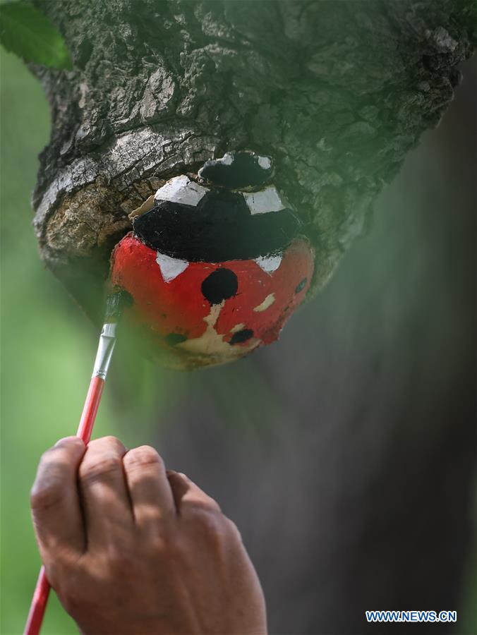 CHINA-JILIN-CHANGCHUN-TREE BARK CARVING AND PAINTING (CN)