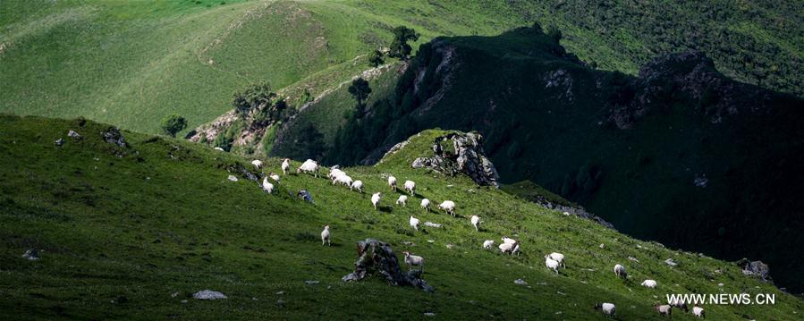 CHINA-QINGHAI-QILIAN-SCENERY (CN)