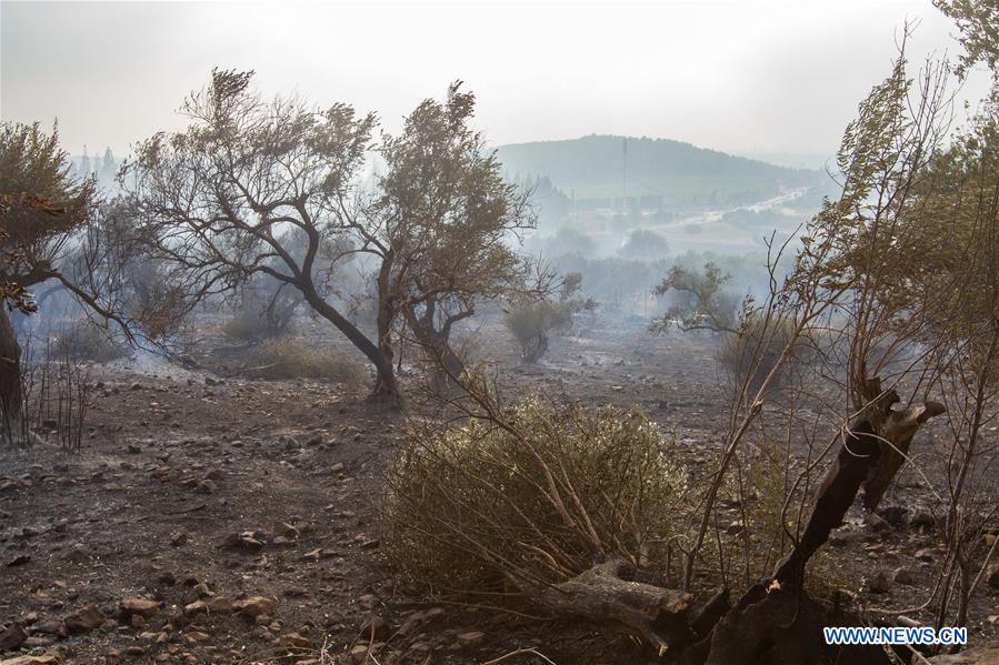 ISRAEL-ARARA-HEATWAVE-FIRES