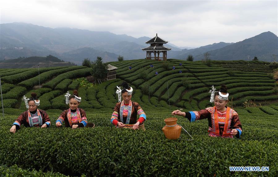 (EcoChina)CHINA-HORTICULTURAL EXPO-GUANGXI (CN)