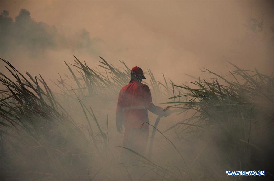 XINHUA PHOTOS OF THE DAY