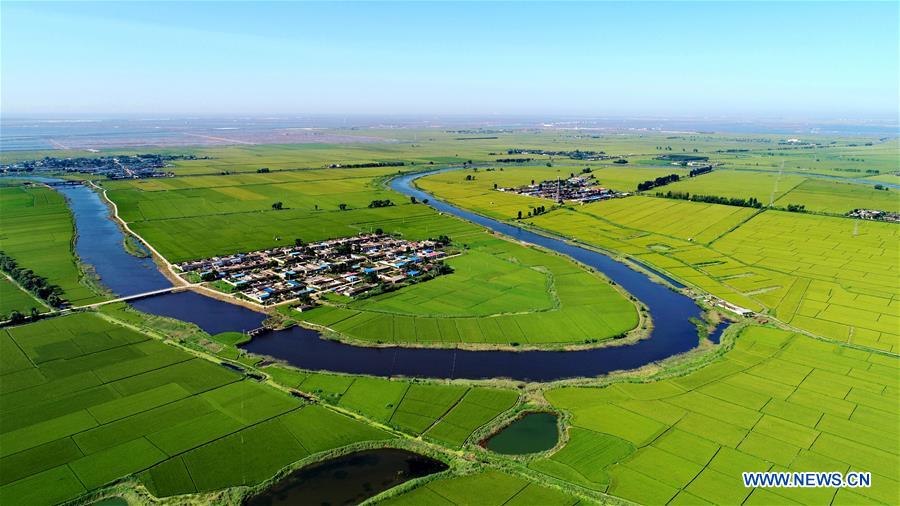 CHINA-HEBEI-PADDY FIELD-SCENERY (CN)