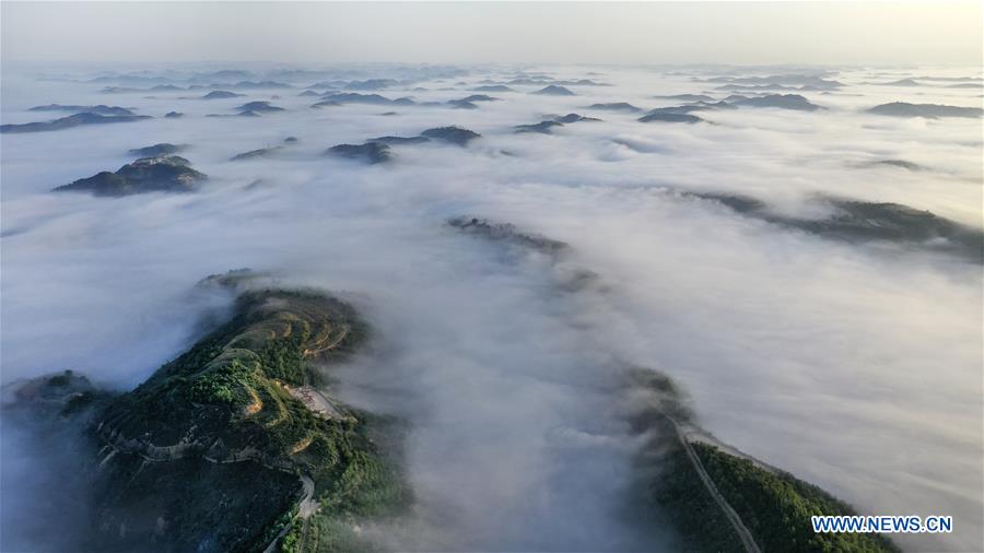 CHINA-SHAANXI-YAN'AN-GRAIN FOR GREEN (CN)