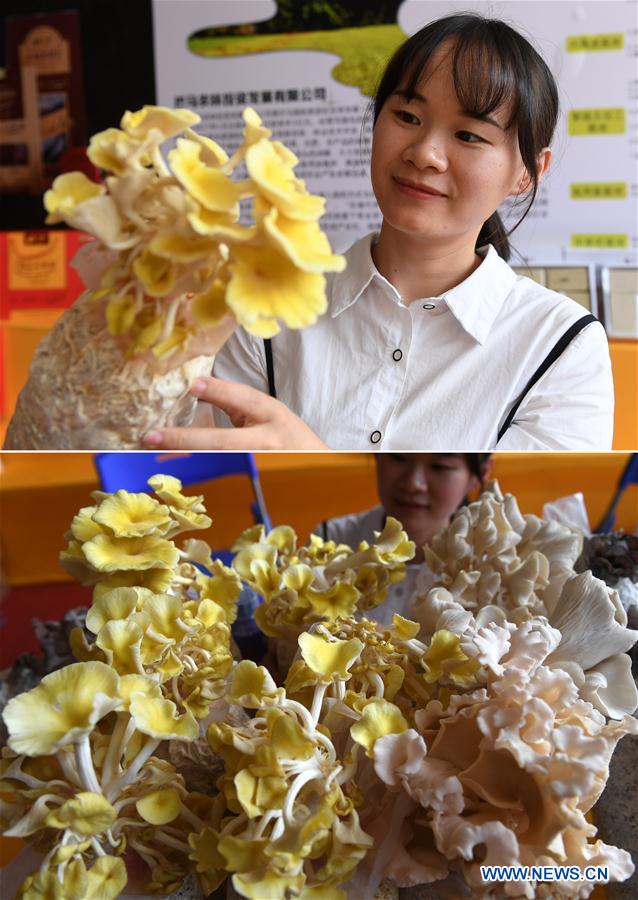 CHINA-GUANGXI-DU'AN-AGRICULTURAL PRODUCT-TRADE FAIR (CN)