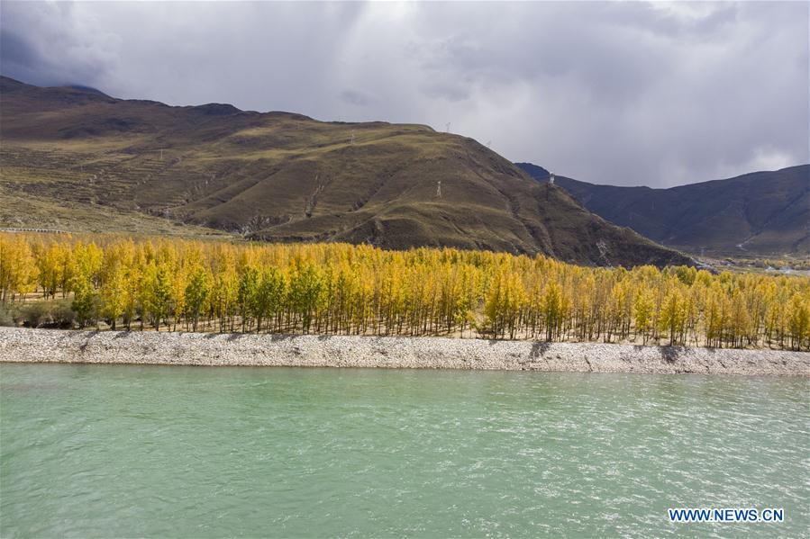 CHINA-TIBET-LHASA-AUTUMN SCENERY (CN)