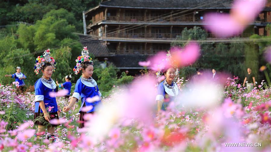 CHINA-GUANGXI-SANJIANG-GALSANG FLOWERS (CN)