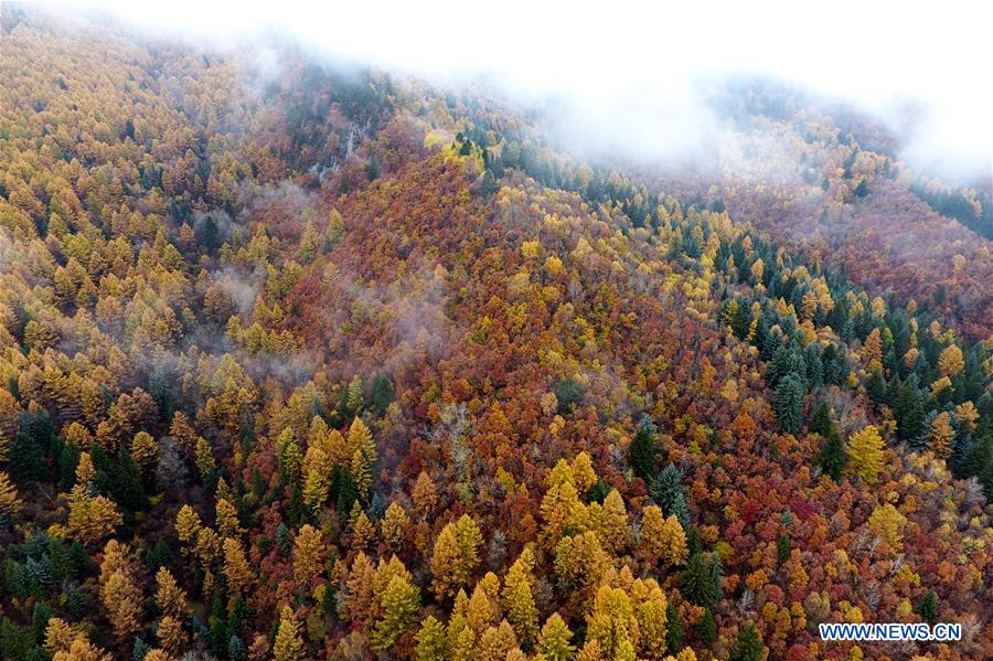 CHINA-SHANXI-PANGQUANGOU-NATURE RESERVE (CN)