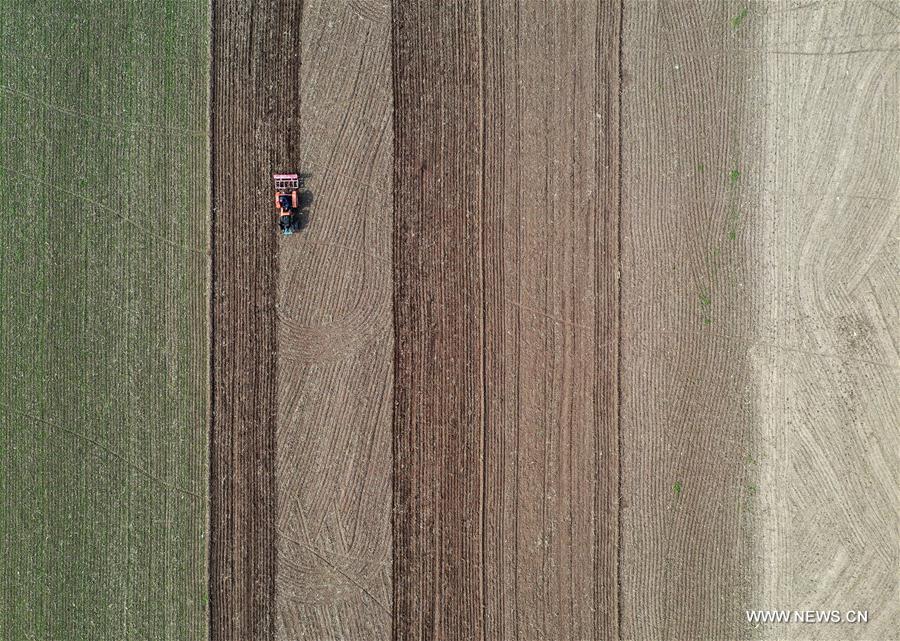 CHINA-HENAN-BAOFENG-FARMING (CN)