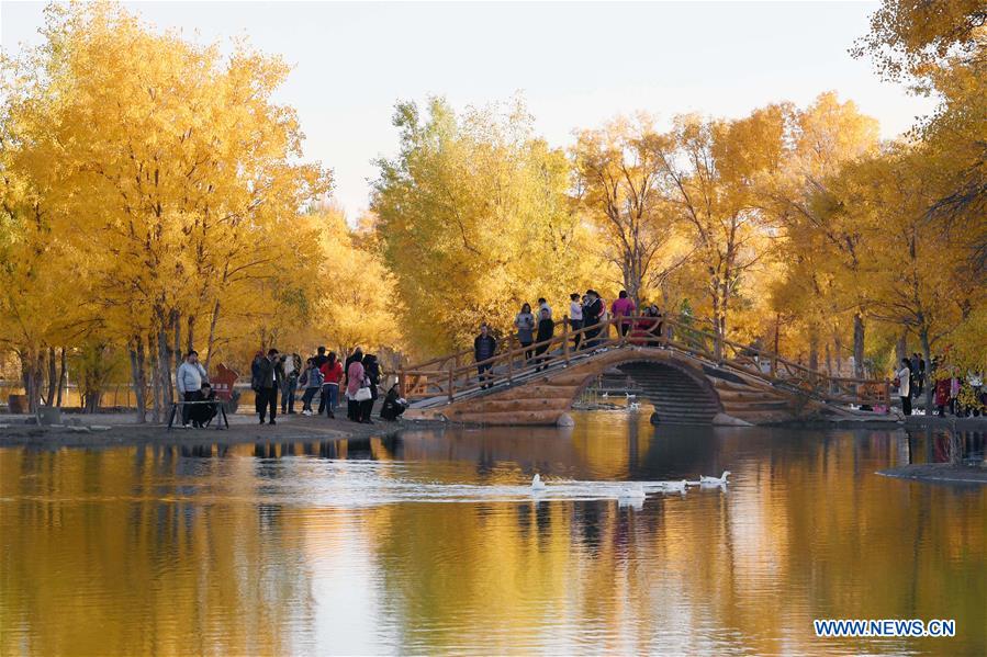 CHINA-JIUQUAN-AUTUMN SCENERY (CN)