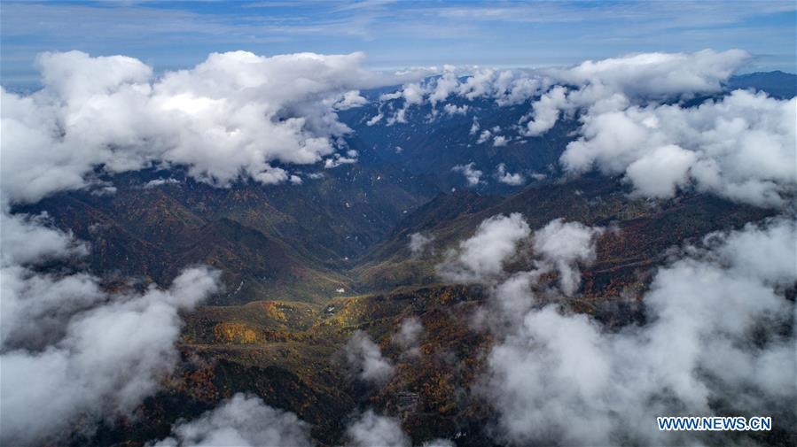 CHINA-HUBEI-SHENNONGJIA-SEA OF CLOUDS(CN)