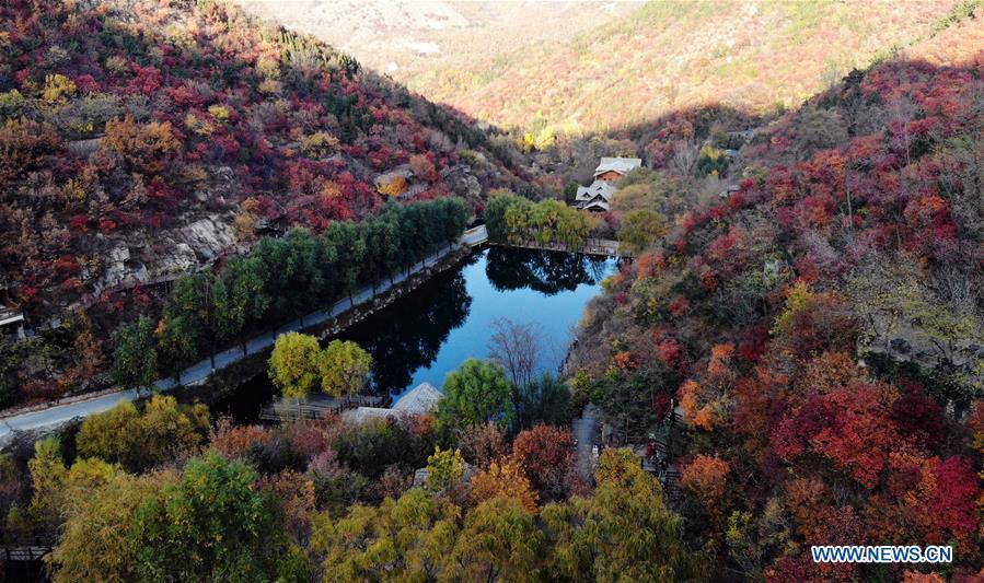 CHINA-SHANDONG-JINAN-AUTUMN SCENERY (CN)