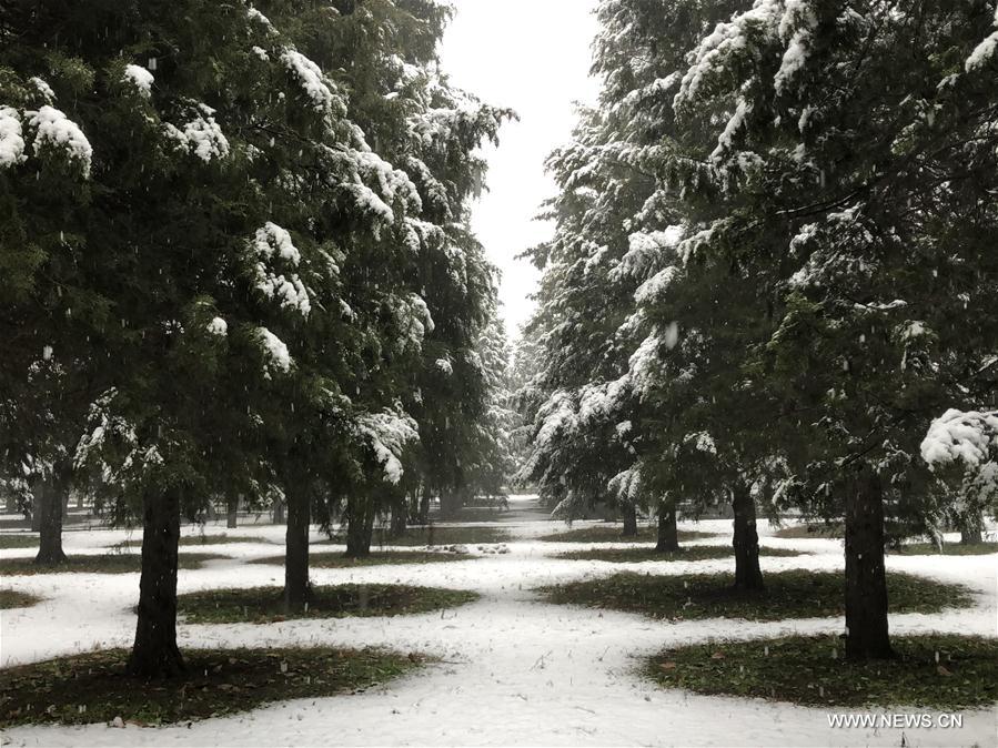 (BeijingCandid) CHINA-BEIJING-WINTER-TEMPLE OF HEAVEN (CN)