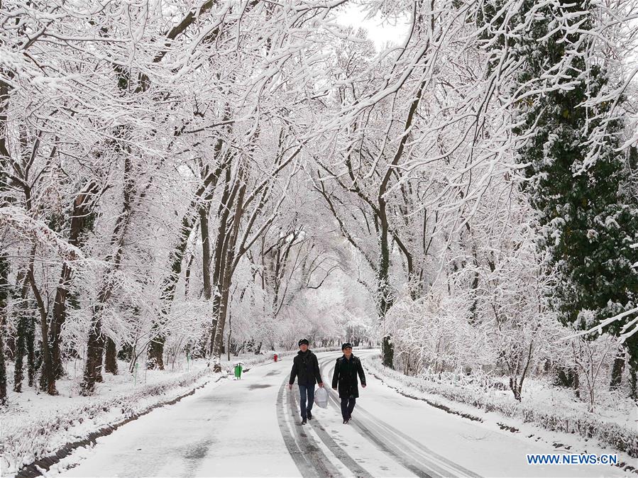 UZBEKISTAN-TASHKENT-SNOWFALL