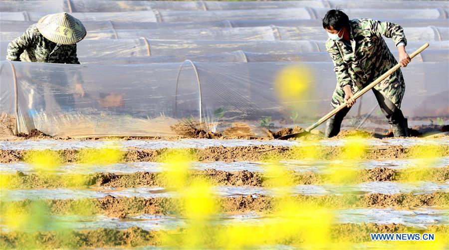 #CHINA-SPRING-FARMING (CN)