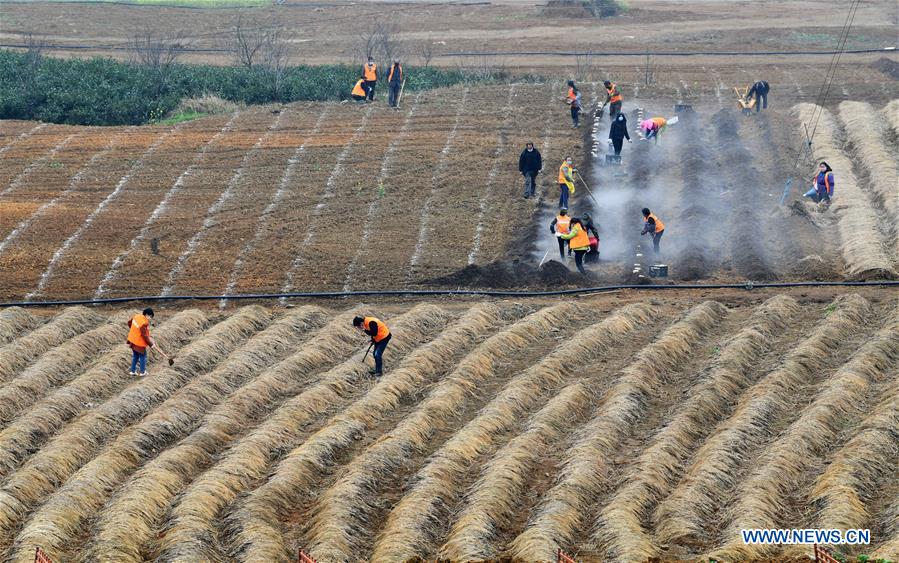 CHINA-GUIYANG-SPRING-AGRICULTURE (CN)