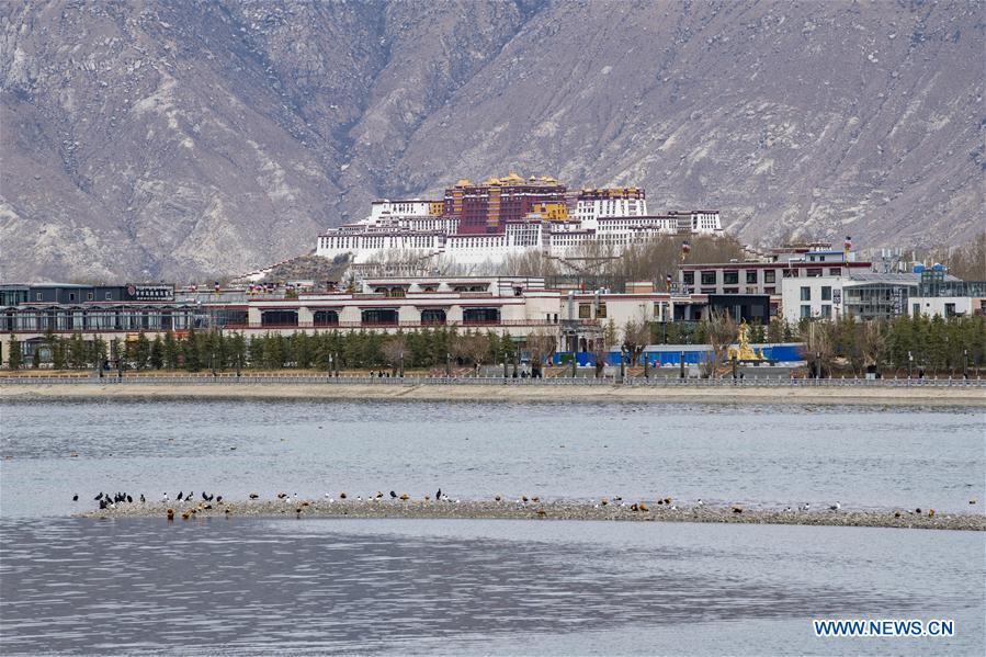 CHINA-TIBET-LHASA-SPRING SCENERY (CN)