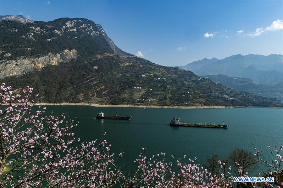 #CHINA-HUBEI-YICHANG-THREE GORGES-SPRING SCENERY (CN)