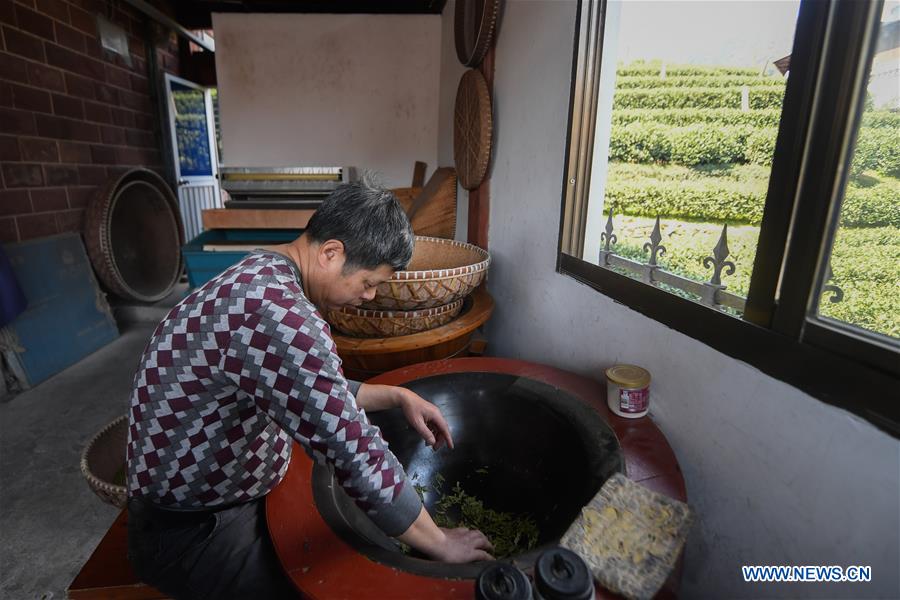 CHINA-HANGZHOU-XIHU LONGJING TEA-HARVEST (CN)