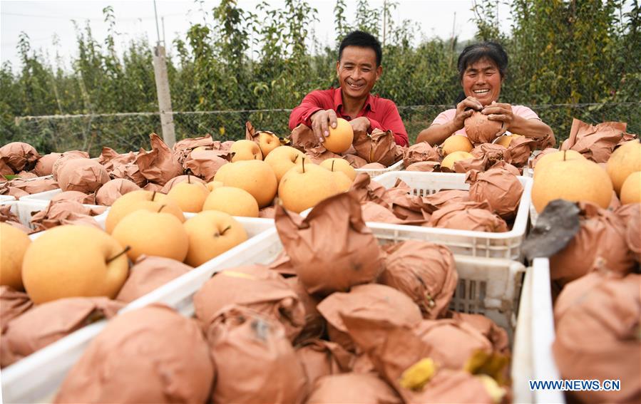 #CHINA-AGRICULTURE-HARVEST (CN)