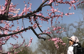 People enjoy spring in Beijing