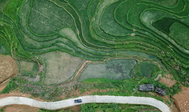 Scenery of Wuniangxi terraced field in SW China's Guizhou