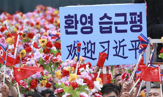 People welcome Xi Jinping in Pyongyang