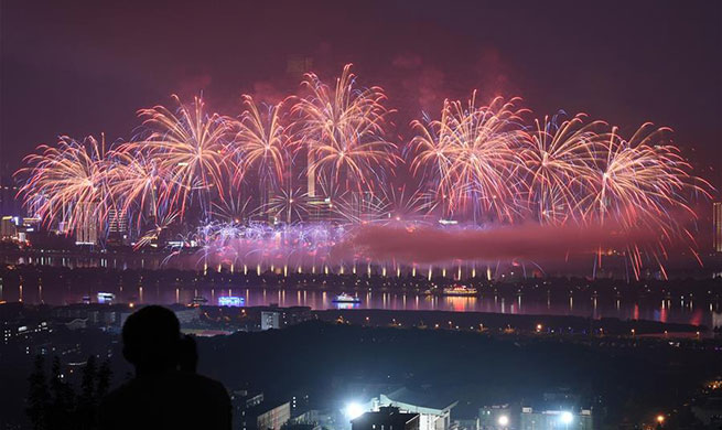 Fireworks illuminate sky to mark China-African Economic and Trade Expo