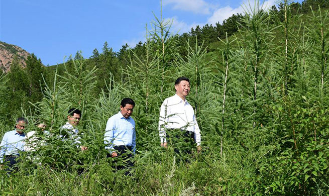 Xi goes to Inner Mongolia on inspection tour