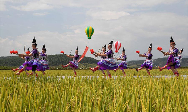 People celebrate harvest in China's Yunnan