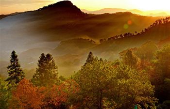 View of Wuyi Mountain in SE China's Fujian