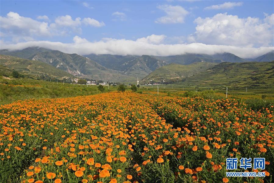 （新華全媒頭條·圖文互動）（8）中國扶貧的西海固答卷——寧夏奮進(jìn)60年巡禮之脫貧攻堅篇