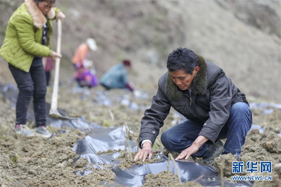 （新春走基層）（12）重慶黔江：土家三老漢 一臺(tái)“扶貧戲”