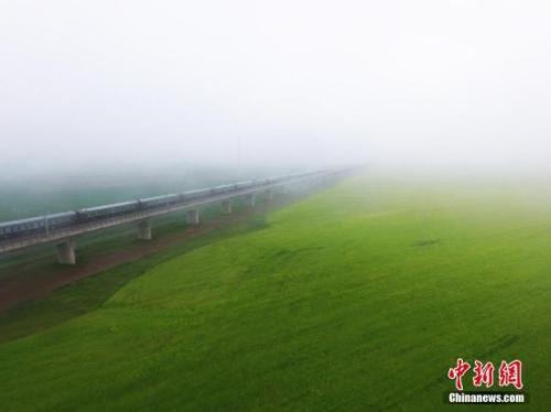 資料圖：動(dòng)車(chē)組穿越雨霧中的油菜花海宛若穿越時(shí)空。 楊艷敏 攝