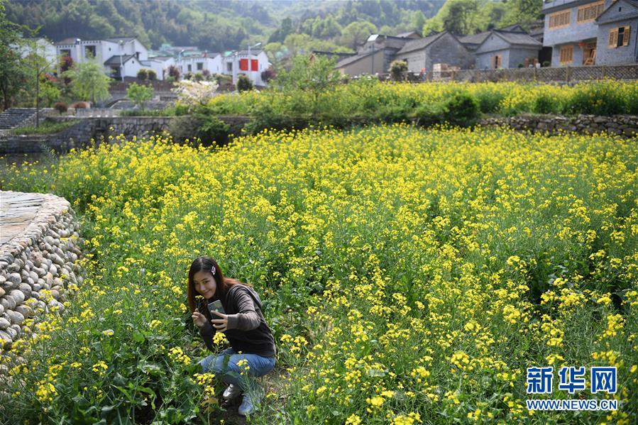 （新华全媒头条·图文互动）（10）红土地上的“绿色减贫”决战——大别山“将军县”金寨脱贫纪实