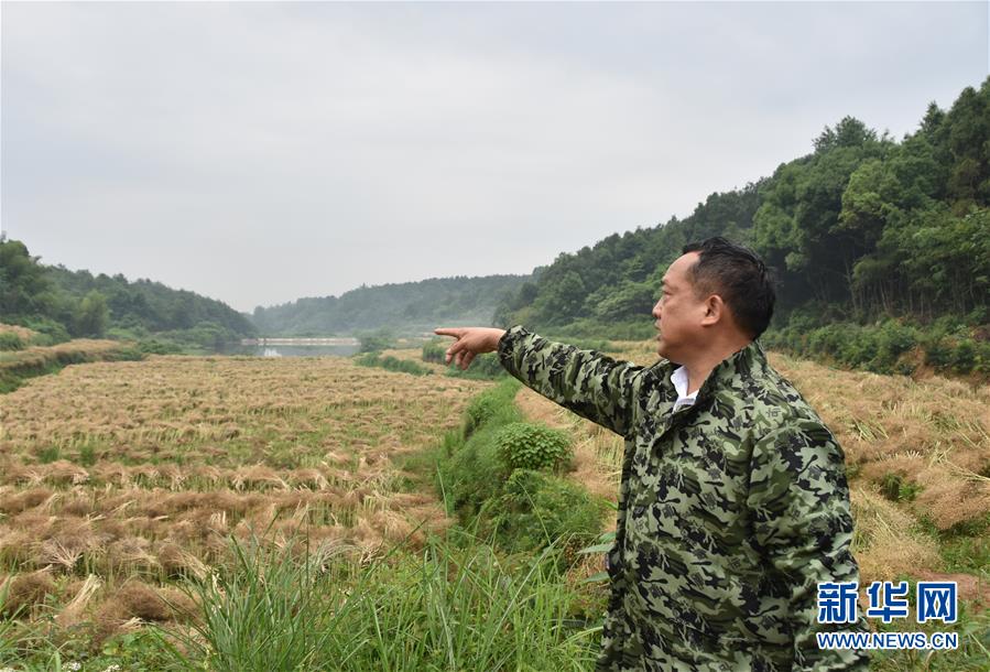 （代表委员履职·图文互动）（2）“我是农民代表，始终关注农村”——全国人大代表沈昌健的履职故事