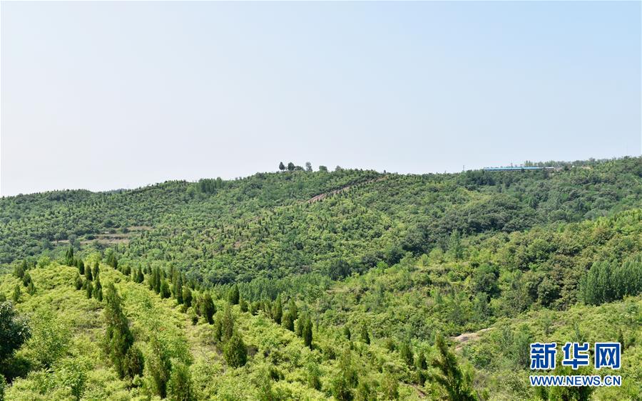 （决战决胜脱贫攻坚·图文互动）（1）“愚公”治山