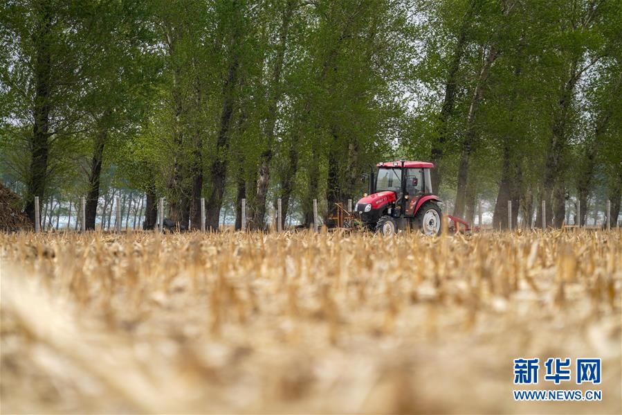 （在习近平新时代中国特色社会主义思想指引下——新时代新作为新篇章·习近平总书记关切事·图文互动）（9）让每一寸耕地都成为丰收的沃土——我国加强耕地?；ね平?ldquo;藏粮于地”