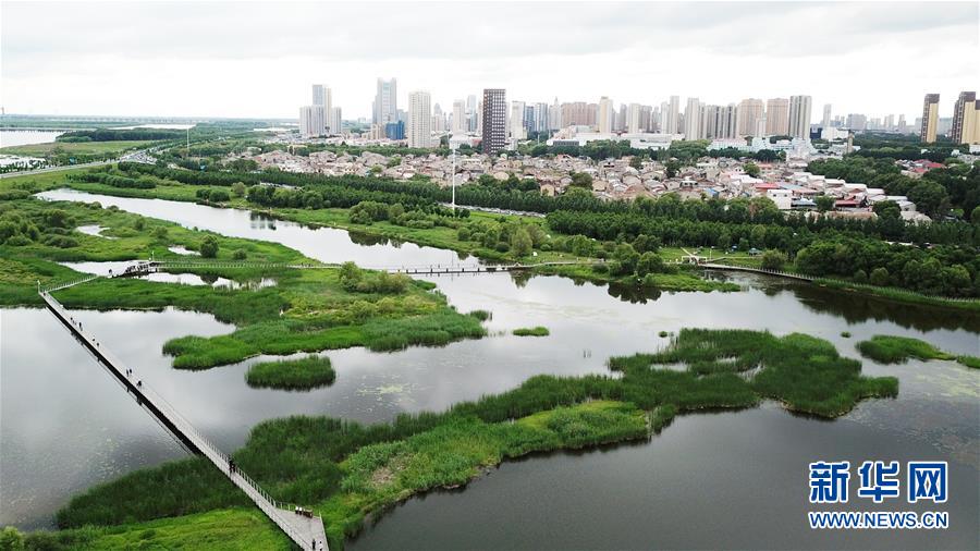 （走向我们的小康生活·图文互动）（2）水清、地绿、空气新——最北省份黑龙江绘就生态治理新画卷