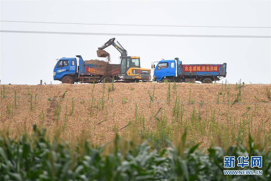 （防汛抗洪·图文互动）（4）“险情不可怕，可怕的是不能及时发现险情”——洞庭湖巡堤查险现场直击