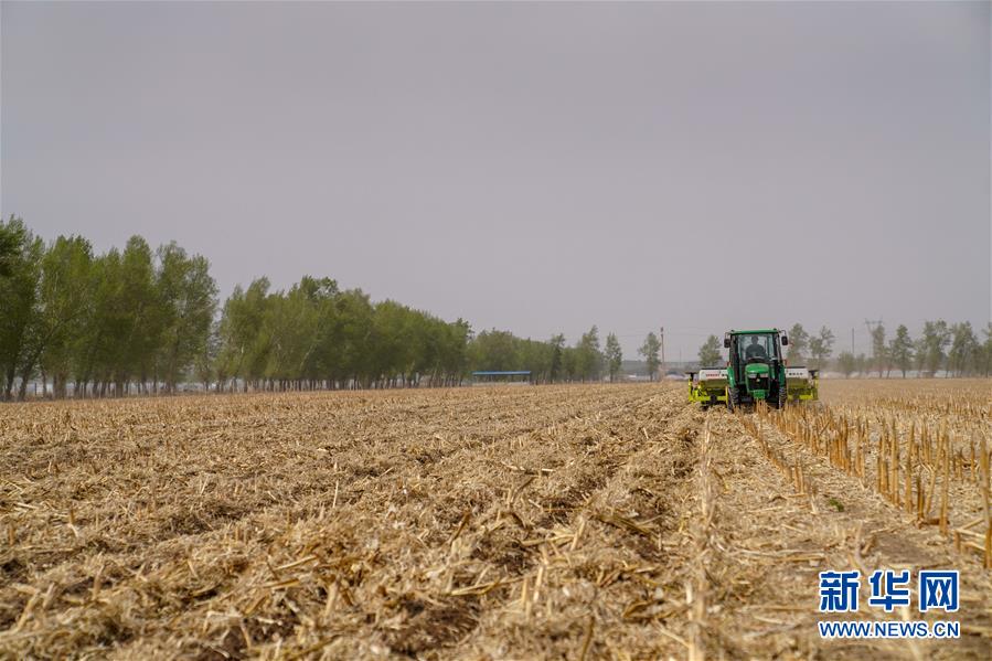 （在习近平新时代中国特色社会主义思想指引下——新时代新作为新篇章·习近平总书记关切事·图文互动）（6）为黑土加“油”——“耕地中的大熊猫”，我们这样保护