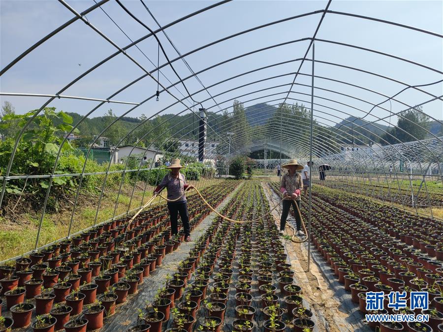 （决战决胜脱贫攻坚·图文互动）（3）安居乐业并重，搬迁脱贫同步——湖北88万搬迁群众脱贫观察 