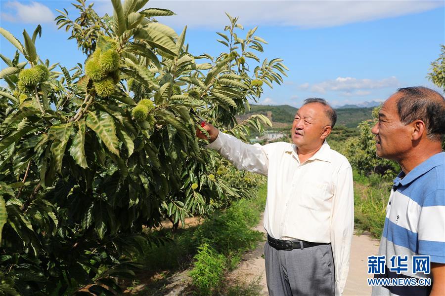 （新华全媒头条·走向我们的小康生活·图文互动）（11）长城脚下，小康村串成“珍珠链”