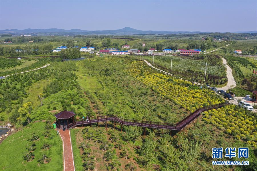 （新华全媒头条·走向我们的小康生活·图文互动）（16）黑土地上是我家——在吉林，一瞥中国东北乡村美丽未来