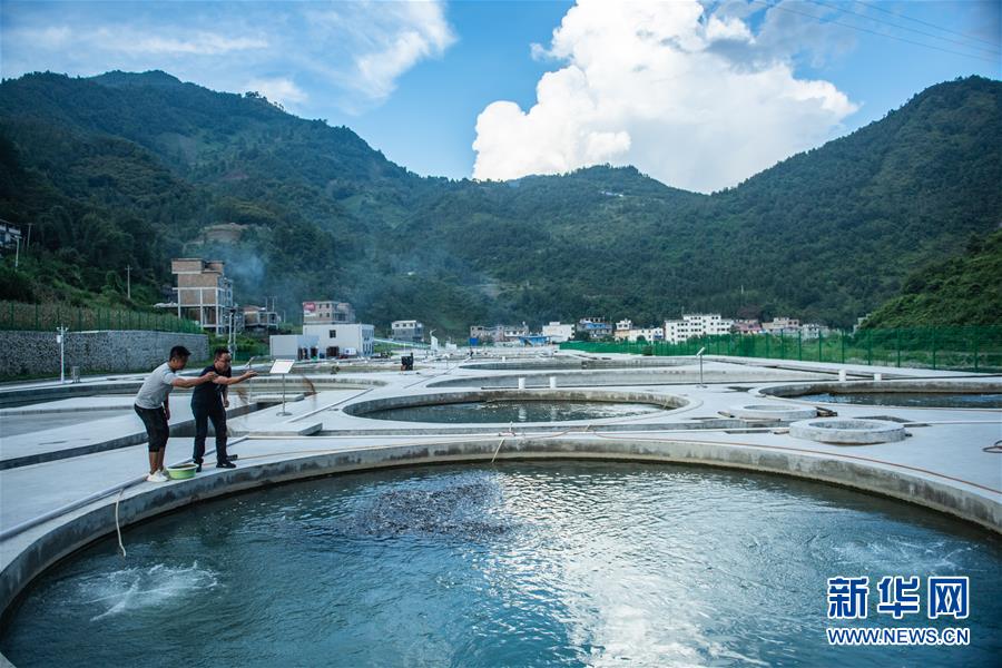 （新华全媒头条·决战决胜脱贫攻坚·督战未摘帽贫困县·图文互动）（11）把“最能打的人”放在最需要的地方——聚焦贵州未脱贫县里的“助攻干部”